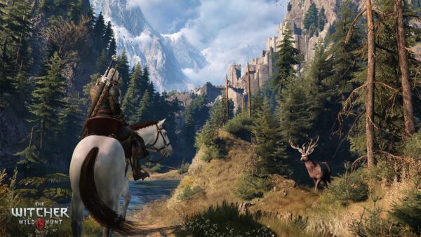 w3ss2 The Witcher 3: Wild Hunt - Xbox One